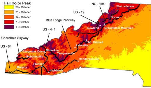 wnc fall leave colors