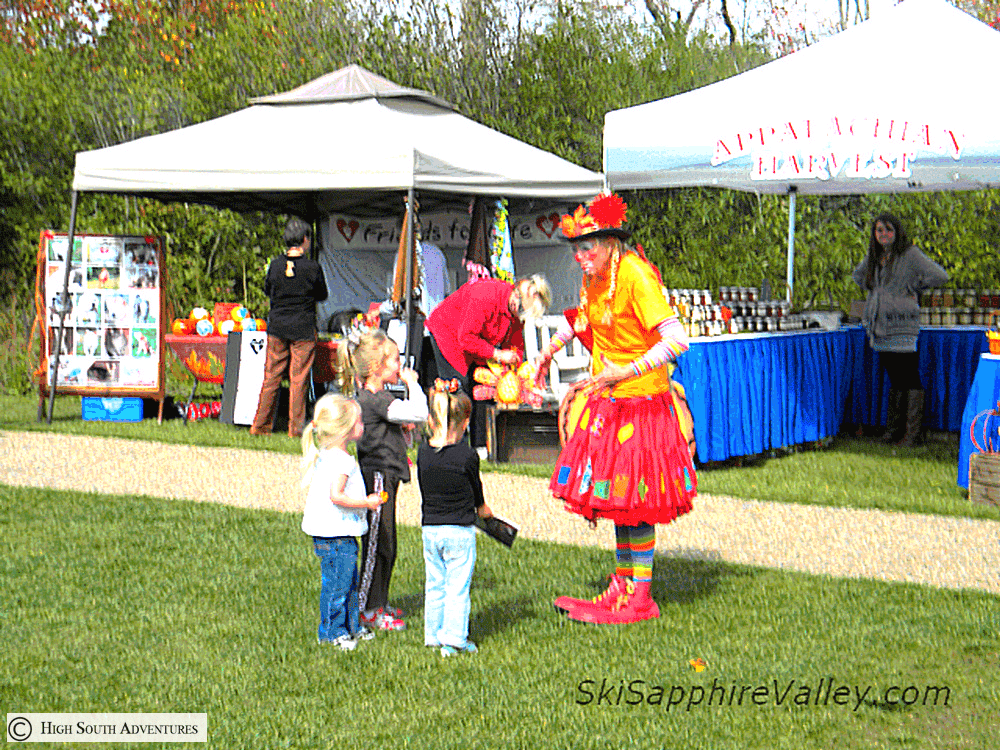 cashiers leaf festival