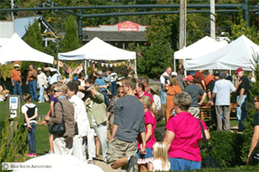 cashiers leaf festival