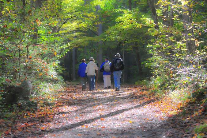 Dahlonega Ga Hiking