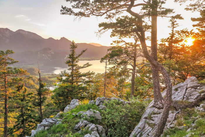 blue ridge smoky mountain hiking
