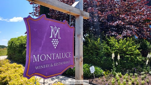 North Georgia vineyard winery