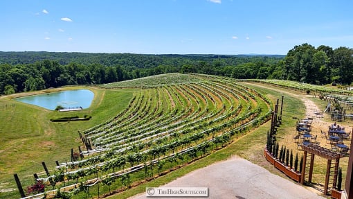 North Georgia vineyard winery