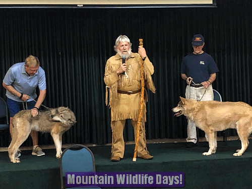 MOUNTAIN WILDLIFE DAYS